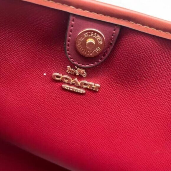 Coach Brown Tote with Snoopy and Woodstock - Picture 5 of 7